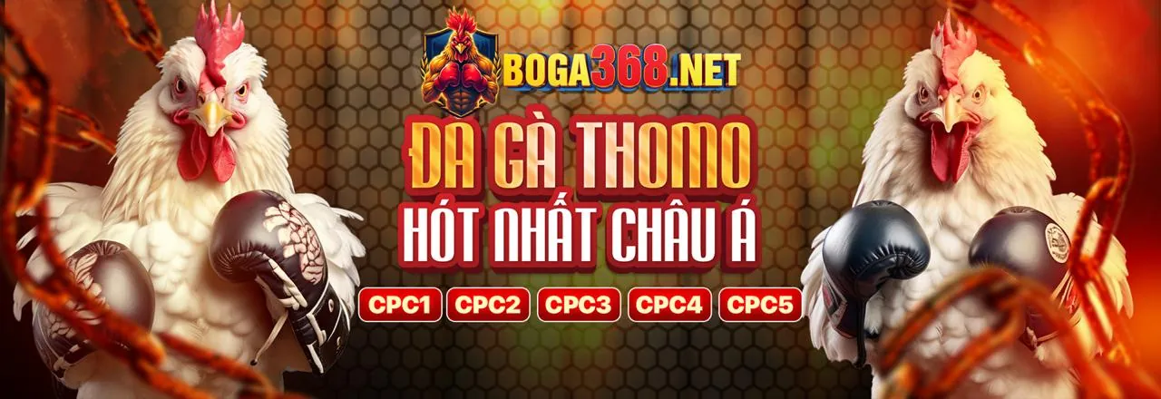 Sòng bạc trực tuyến đẳng cấp tại 82vn trang chủ chính thức